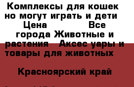 Комплексы для кошек, но могут играть и дети › Цена ­ 11 900 - Все города Животные и растения » Аксесcуары и товары для животных   . Красноярский край